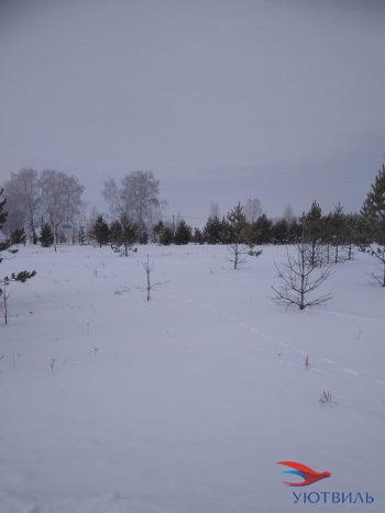 Земельный участок поселок Баженово в Сысерти - sysert.yutvil.ru - фото 3
