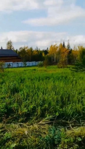 ДП Родной в Сысерти - sysert.yutvil.ru