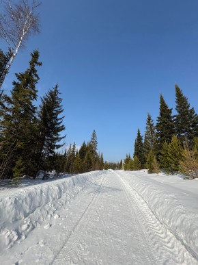 ДП Родной в Сысерти - sysert.yutvil.ru - фото 7