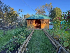 Екатеренбург сад Торгмаш, СНТ  Садовод, уч. 52 в Сысерти - sysert.yutvil.ru - фото 10