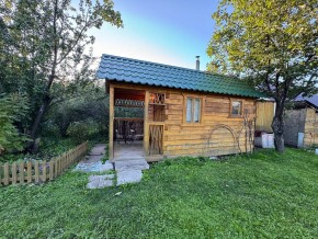 Екатеренбург сад Торгмаш, СНТ  Садовод, уч. 52 в Сысерти - sysert.yutvil.ru - фото 12