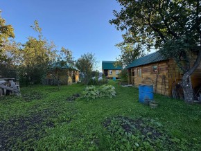 Екатеренбург сад Торгмаш, СНТ  Садовод, уч. 52 в Сысерти - sysert.yutvil.ru - фото 14