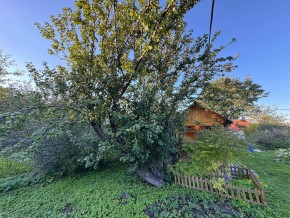 Екатеренбург сад Торгмаш, СНТ  Садовод, уч. 52 в Сысерти - sysert.yutvil.ru - фото 17