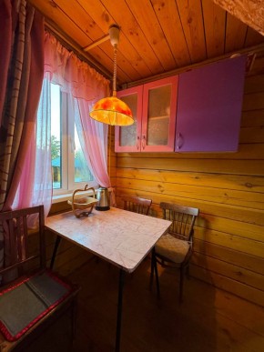 Екатеренбург сад Торгмаш, СНТ  Садовод, уч. 52 в Сысерти - sysert.yutvil.ru - фото 4