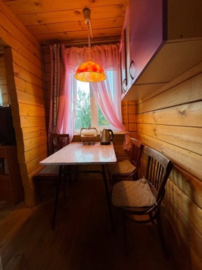 Екатеренбург сад Торгмаш, СНТ  Садовод, уч. 52 в Сысерти - sysert.yutvil.ru - фото 5