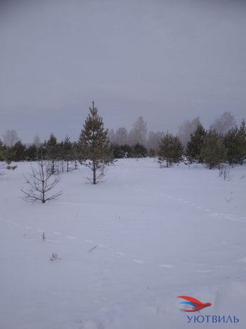 Земельный участок поселок Баженово в Сысерти - sysert.yutvil.ru - фото 5
