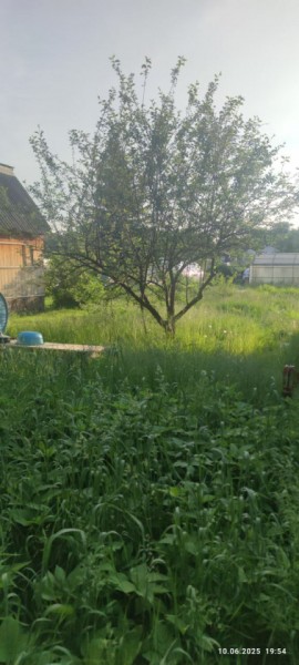 г Верхняя пышма, СНТ Мираж, уч.№ 99 в Сысерти - sysert.yutvil.ru - фото 19