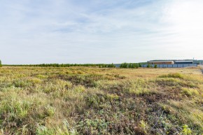 Российская Федерация, Свердловская область, Сысертский городской округ, территория садоводческого некоммерческого товарищества Бобровские дачи, улица Каштановая, земельный участок № 38 в Сысерти - sysert.yutvil.ru - фото 24