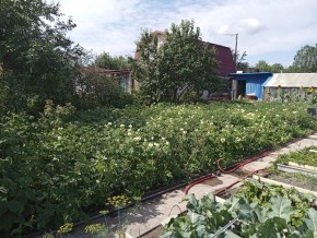 СНТ Медик-2 в Сысерти - sysert.yutvil.ru - фото 6