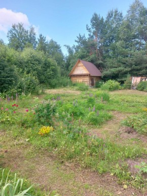 СНТ Родники в Сысерти - sysert.yutvil.ru - фото 3 СНТ Родники в Сысерти - sysert.yutvil.ru - фото 3