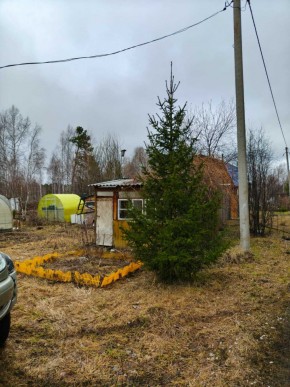 СНТ Родники в Сысерти - sysert.yutvil.ru - фото 5 СНТ Родники в Сысерти - sysert.yutvil.ru - фото 5