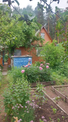 СНТ Садовод-24 в Сысерти - sysert.yutvil.ru