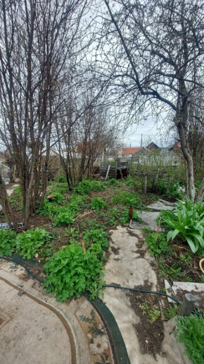 СНТ Сирень, уч. 38 в Сысерти - sysert.yutvil.ru - фото 7