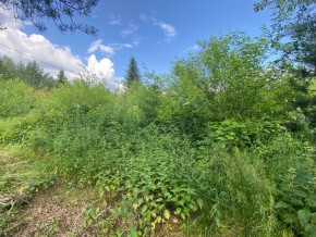 СПК Юбилейный, уч. 9 в Сысерти - sysert.yutvil.ru - фото 7