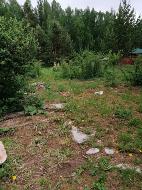 СТН Семья №112, Верхняя пышма на землях бывшего подсобного хозяйтва верхнепышминского опытного завода в Сысерти - sysert.yutvil.ru - фото 17 СТН Семья №112, Верхняя пышма на землях бывшего подсобного хозяйтва верхнепышминского опытного завода в Сысерти - sysert.yutvil.ru - фото 17