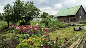 ул. 8-е Марта,46 в Сысерти - sysert.yutvil.ru - фото 6 ул. 8-е Марта,46 в Сысерти - sysert.yutvil.ru - фото 6