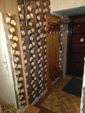 ул. Бажова,11 в Сысерти - sysert.yutvil.ru - фото 9 ул. Бажова,11 в Сысерти - sysert.yutvil.ru - фото 9