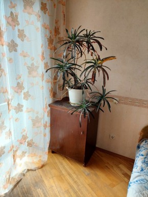 ул. Индустрии,29 в Сысерти - sysert.yutvil.ru - фото 4 ул. Индустрии,29 в Сысерти - sysert.yutvil.ru - фото 4