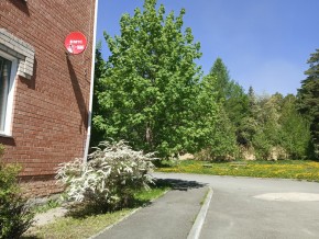 ул. Сосновая, 8 в Сысерти - sysert.yutvil.ru - фото 25 ул. Сосновая, 8 в Сысерти - sysert.yutvil.ru - фото 25