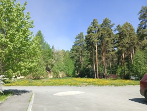 ул. Сосновая, 8 в Сысерти - sysert.yutvil.ru - фото 26 ул. Сосновая, 8 в Сысерти - sysert.yutvil.ru - фото 26
