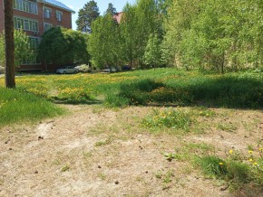 ул. Сосновая, 8 в Сысерти - sysert.yutvil.ru - фото 33 ул. Сосновая, 8 в Сысерти - sysert.yutvil.ru - фото 33