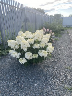 ул. Весенняя,12 в Сысерти - sysert.yutvil.ru - фото 20